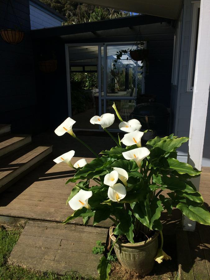 Nightingale Falls Farm Stay Retreat Thames Zewnętrze zdjęcie